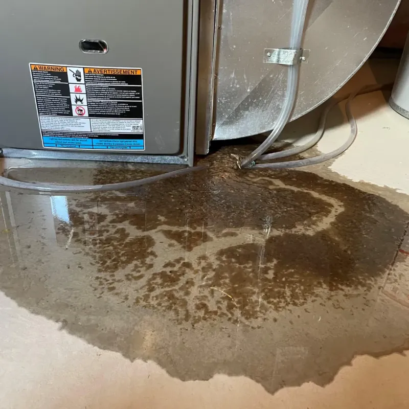 Appliance Leak Cleanup in Baldwin County, AL